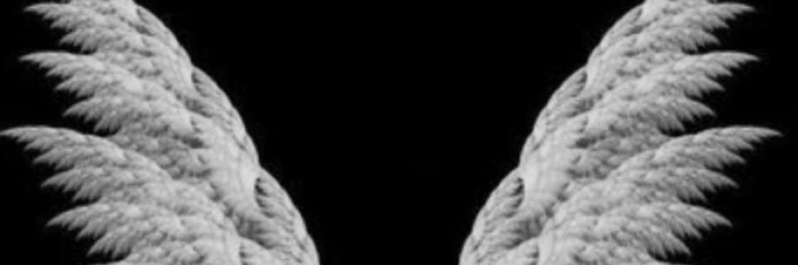 الهجهاجي MBS🇸🇦 banner