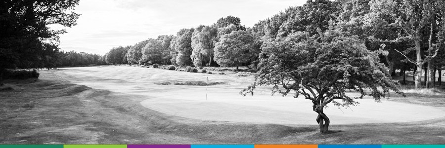 Golf Mngmt Group banner