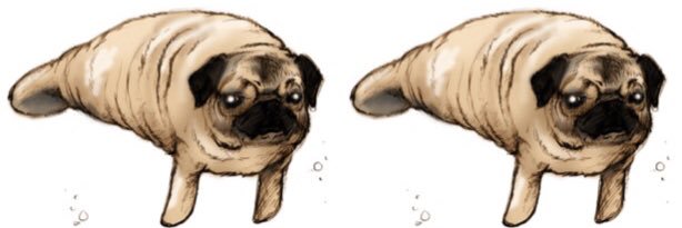 enricopatt's profile banner image