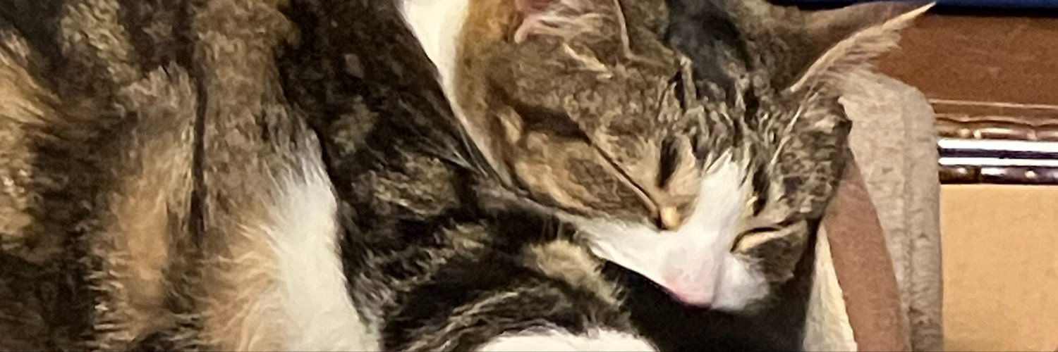 alannaread's profile banner image
