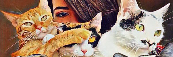 Laylinha_Quint's profile banner image