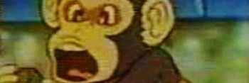 pujolsolo's profile banner image