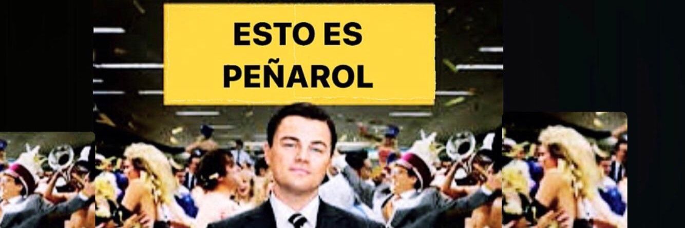 lobodelcap's profile banner image