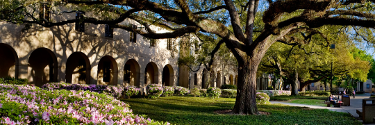 Political Sci @ LSU banner