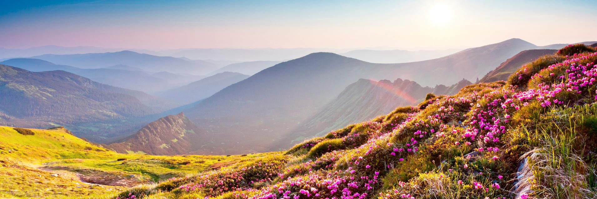 Jess Wahl (Outdoor Recreation) banner