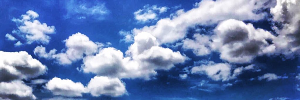 dlkgull's profile banner image