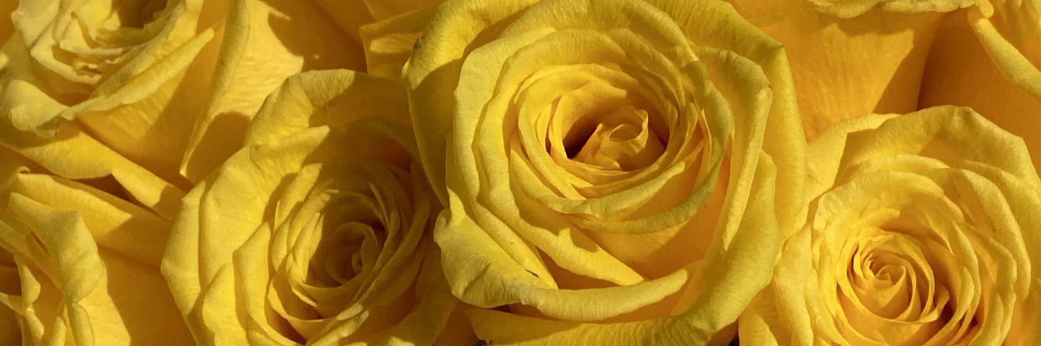 Andreatinoco96's profile banner image
