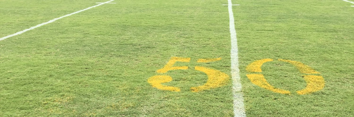 Mickey Bayens banner