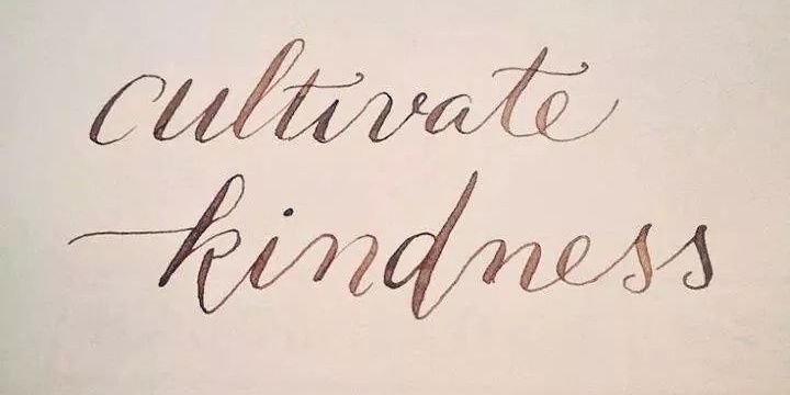 Michelle Webb banner