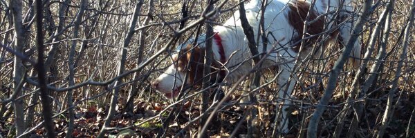 dunphy182 Profile Banner