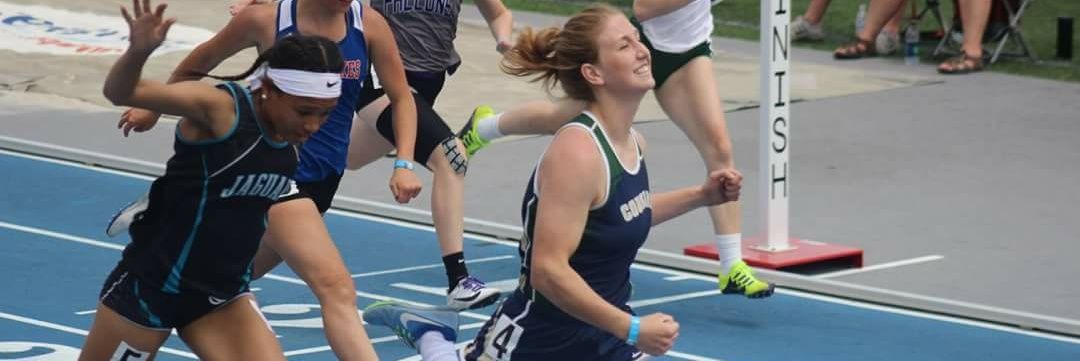 Sumner-Fredericksburg Cougars banner