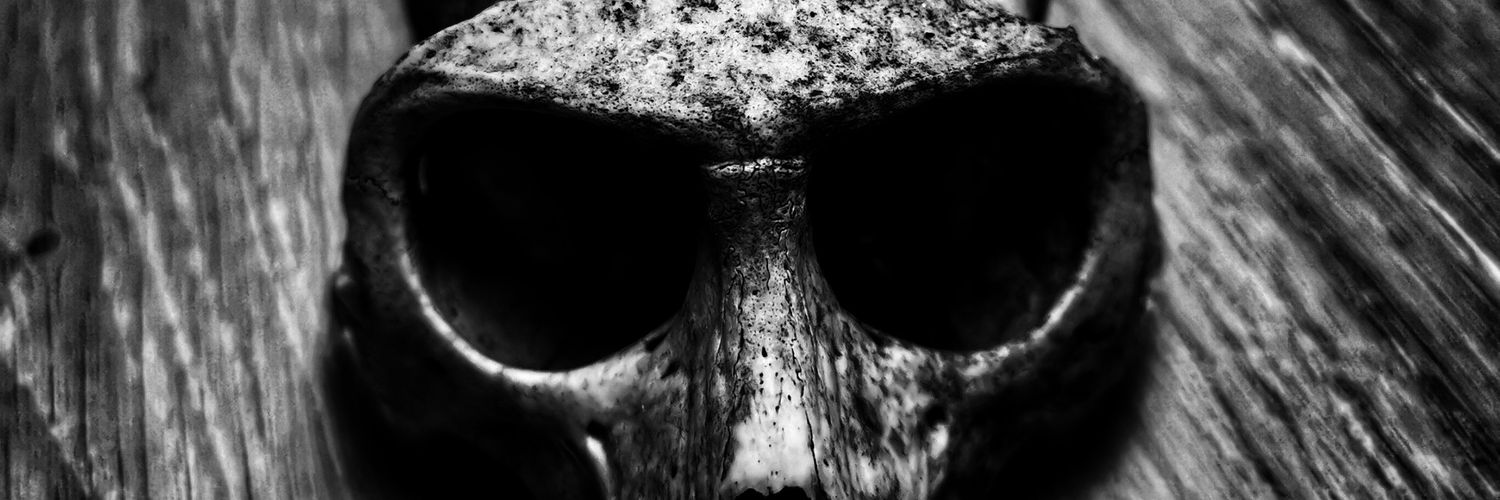 ICHYPALMZ's profile banner image