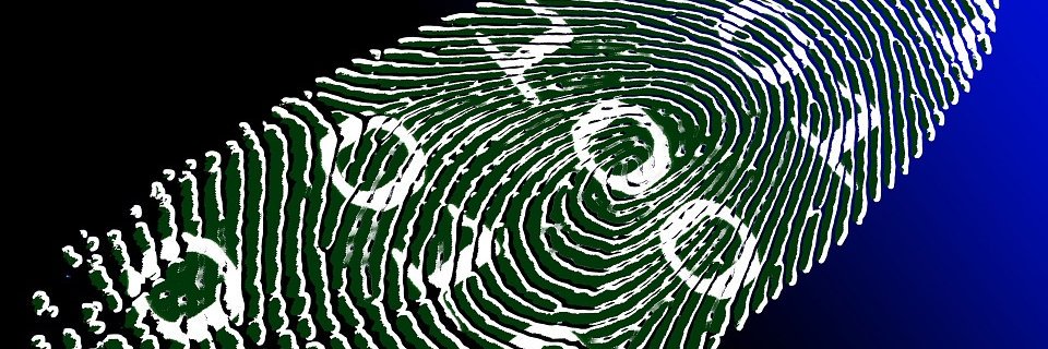 Duncan MacIver banner