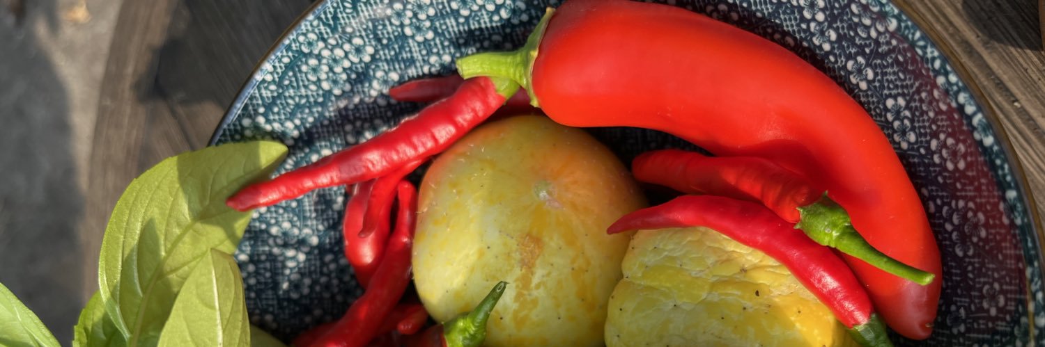 Stephanie Fox banner