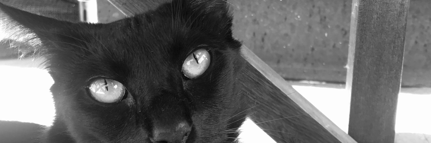 MaqaTejada's profile banner image
