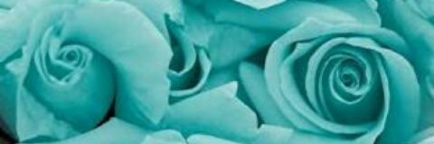 FatimaMqmc's profile banner image