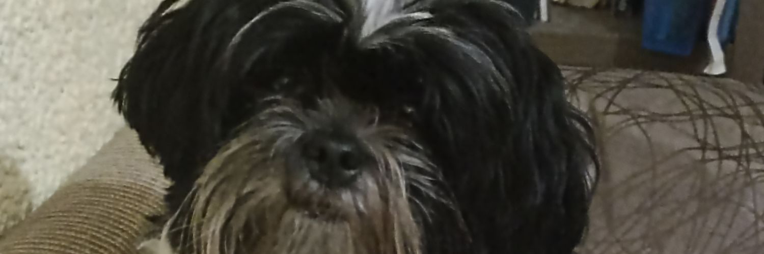 anabuny's profile banner image