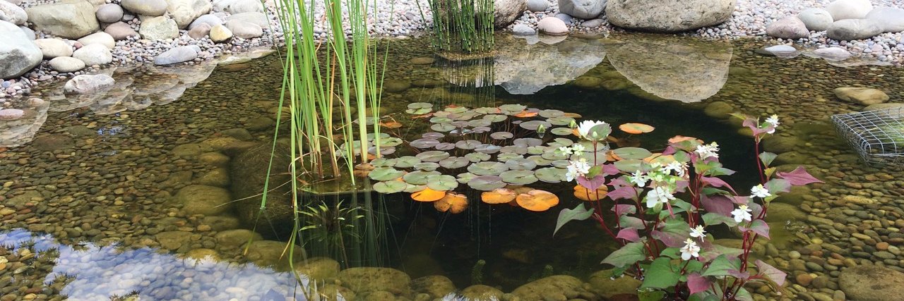 Lanwarne Landscapes banner