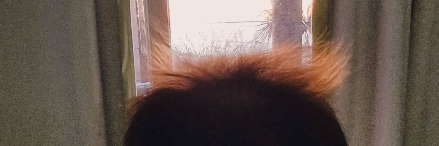 GuilleeMash2's profile banner image
