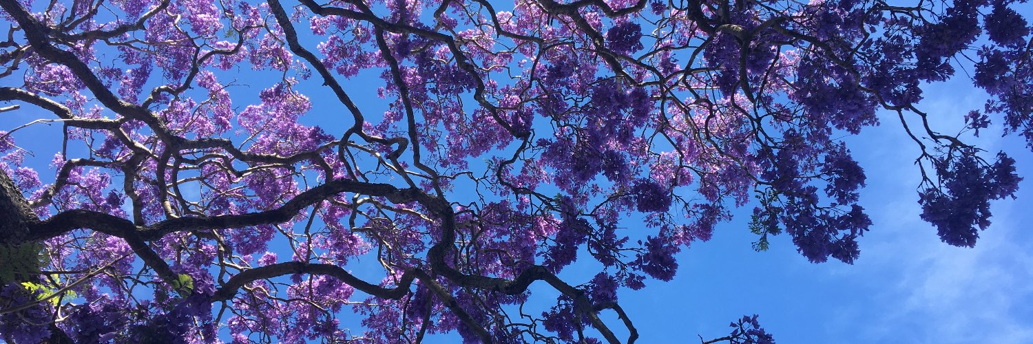 Louise Ravelli banner