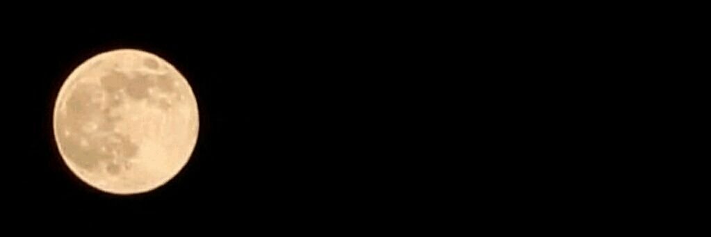 ركن banner