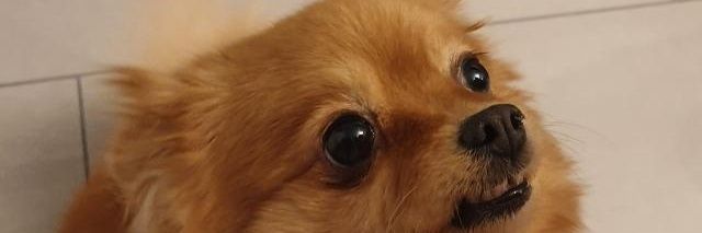 danielriat's profile banner image