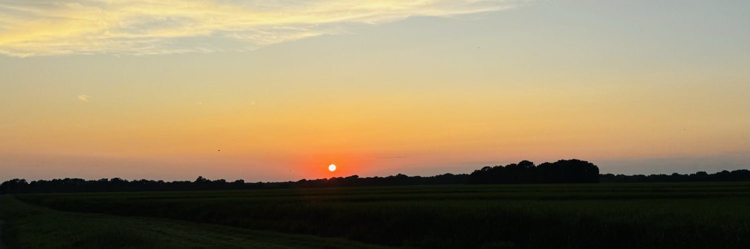angfly42's profile banner image