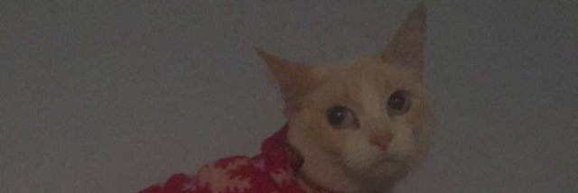 HunterThom48's profile banner image