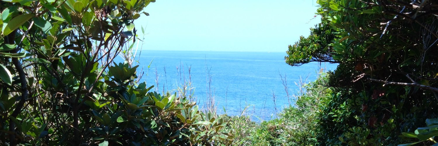 d51oiwake's profile banner image