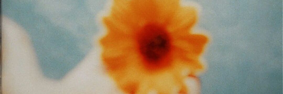 mt10981098's profile banner image