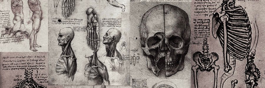 dra_rabago's profile banner image