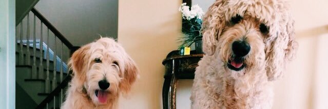 doritoo27's profile banner image