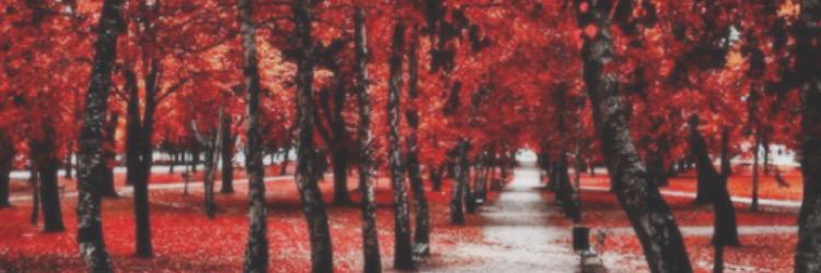 Johnsonfinding's profile banner image