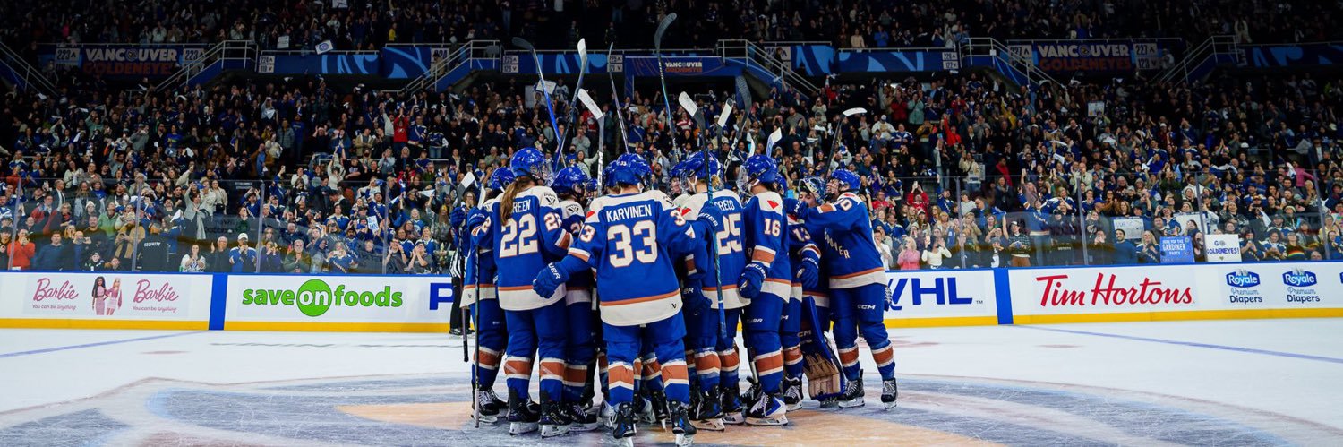 dani 💙🖤 banner