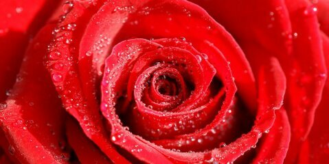 mudoo122's profile banner image