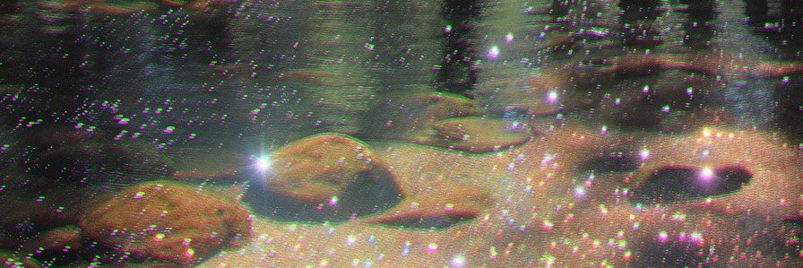 🌙🐺 banner