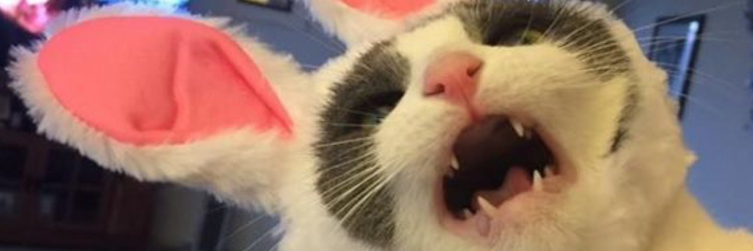 davecastr0's profile banner image