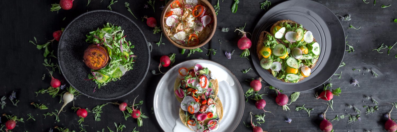 TheDuckInnChicago banner