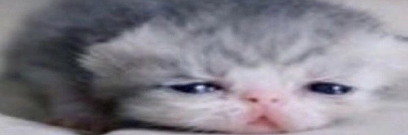 maxeagIe's profile banner image