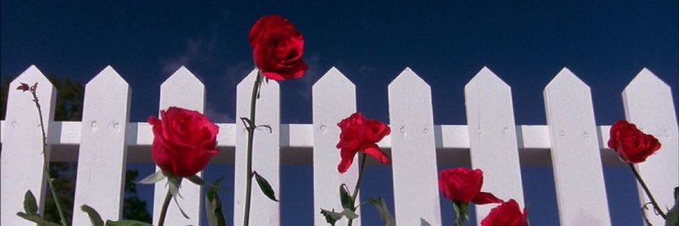 hrtkurta's profile banner image