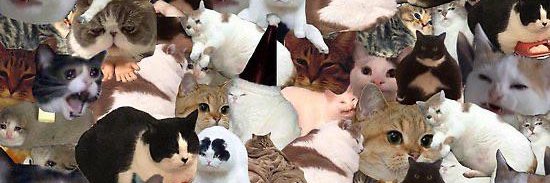 RobbieLWD's profile banner image