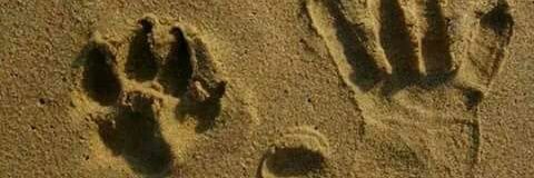camis19's profile banner image