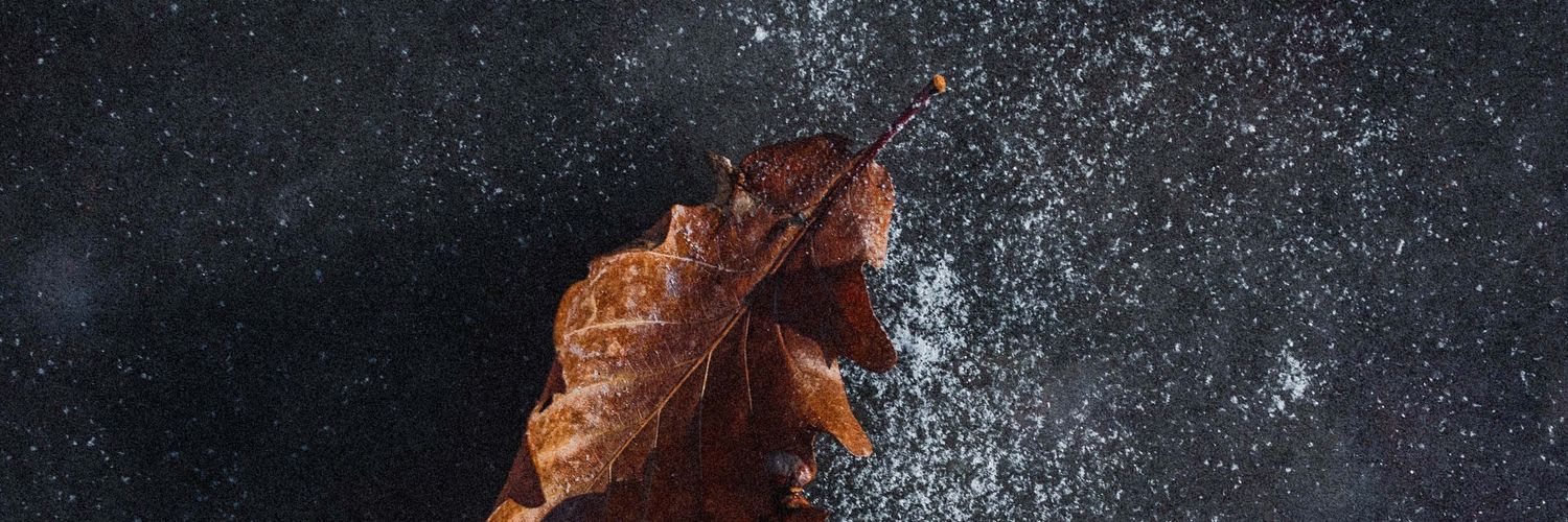 nickmc01's profile banner image