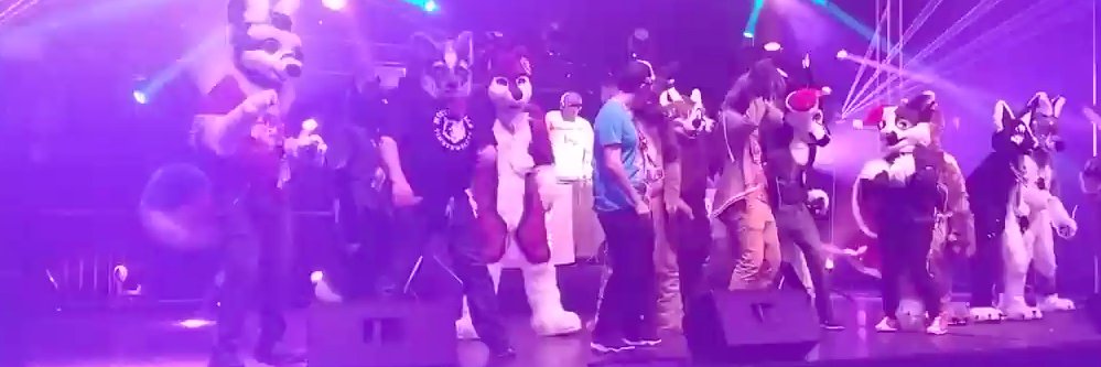 DuskyTheWusky's profile banner image