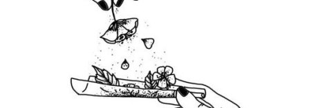 Carlos_LGQ's profile banner image