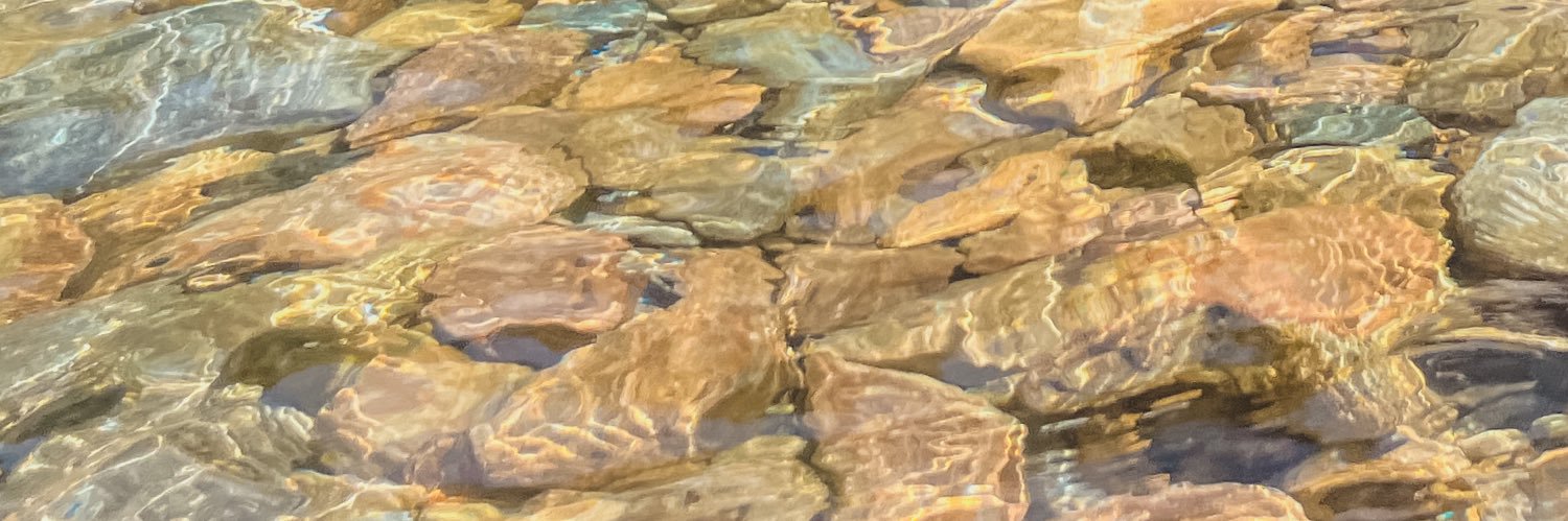 Pikku_Myyn's profile banner image