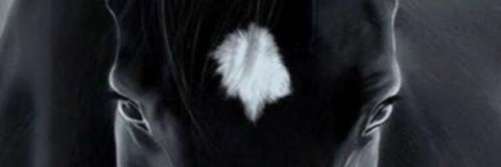 albssami's profile banner image
