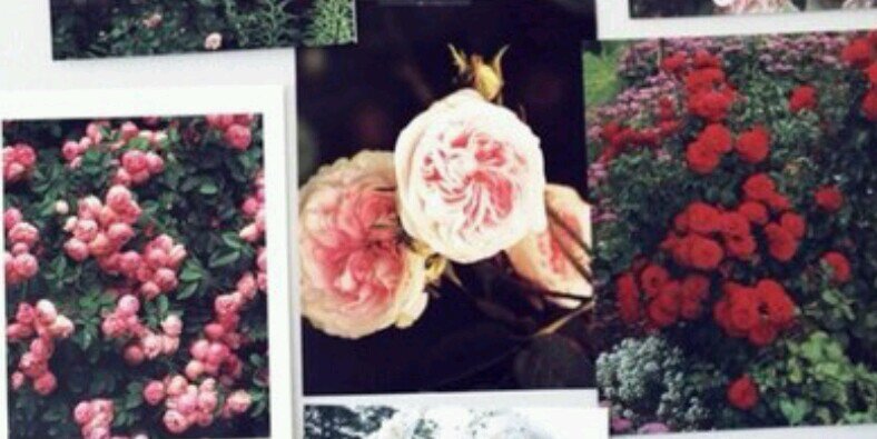 luv__ja's profile banner image