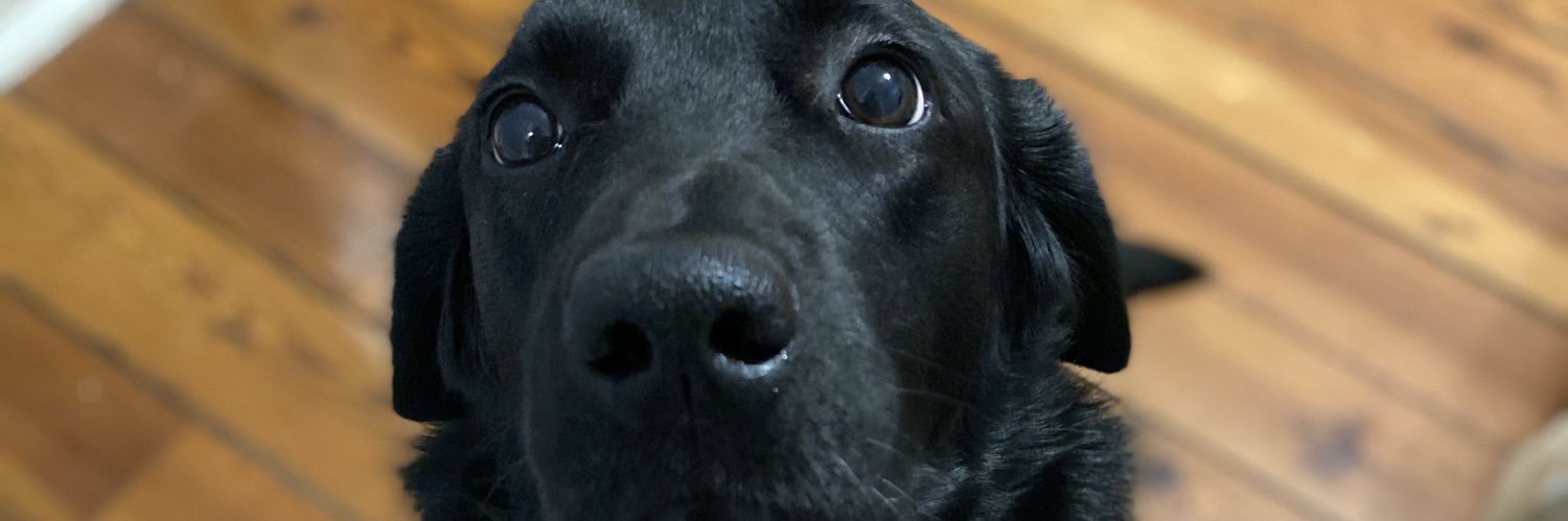 tayzer6's profile banner image