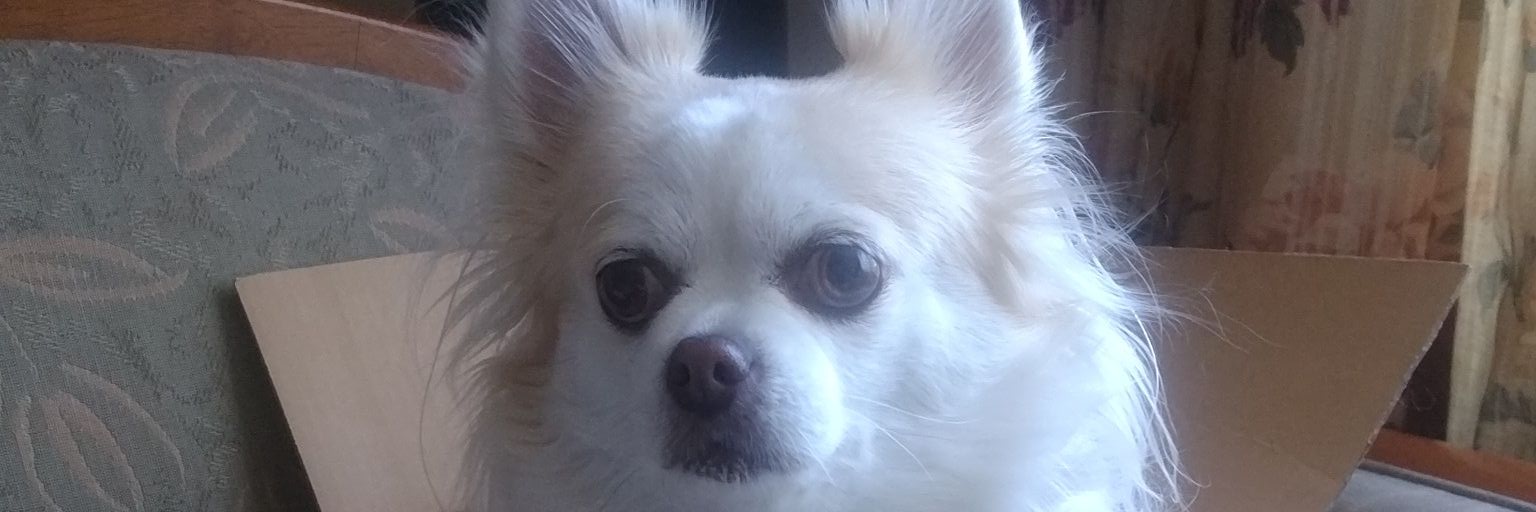 SoUgetu02's profile banner image